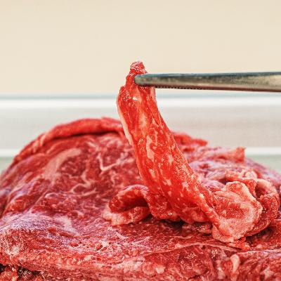 한우 1++등급 불고기/국거리 800g 택1