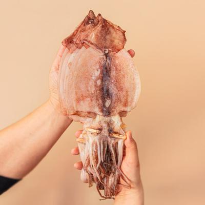 반건조 오징어 원양산 5미 택 1