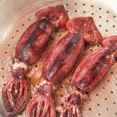 통찜오징어 7~8미 1kg내외