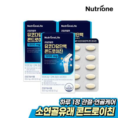 [뉴트리원] 관절연골엔 뮤코다당단백 콘드로이친 소연골 [3박스/6박스]