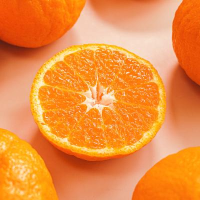 진한과즙 고당도 4-5월 제철 카라향 택 1 