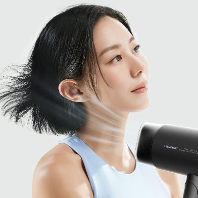[블라우풍트] 전문가용 접이식 헤어 드라이기 강력풍 BLP-HD5201K