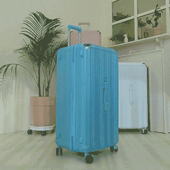 [디베네] 노스텔지어 키클캐리어 28인치