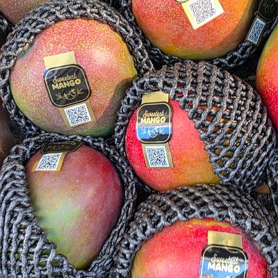 ★고당도★애플망고