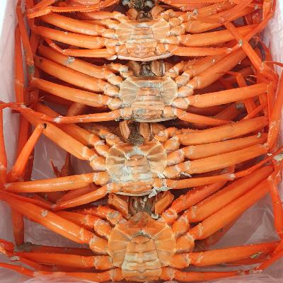 프리미엄 자숙 박달홍게