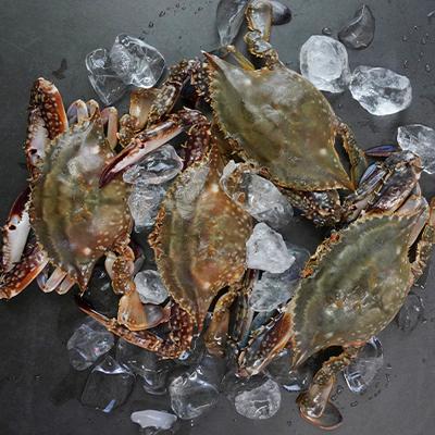 연평도 하프절단 암꽃게