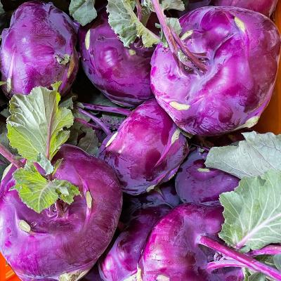 ★슈퍼웰빙★제주도 콜라비