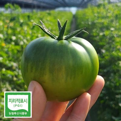 ★산지직송★대저토마토(1~3kg)