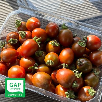 [GAP] 대저 흑대추방울토마토