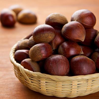 꿀당도 부여산 햇밤