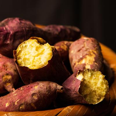 ★농장직송★해남 호박고구마