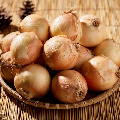 만생종 햇 양파