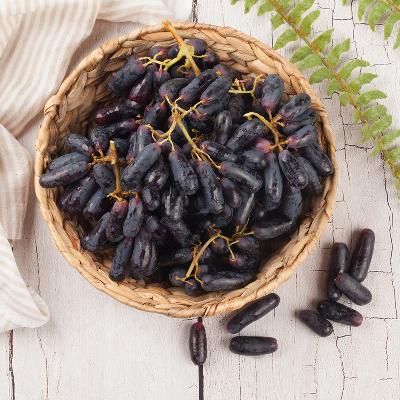 ★씨없는 포도★블랙사파이어포도