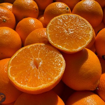 ★고당도★당도최강 만다린 귤