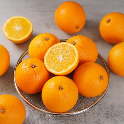 ★고당도★퓨어스펙 블랙라벨 오렌지