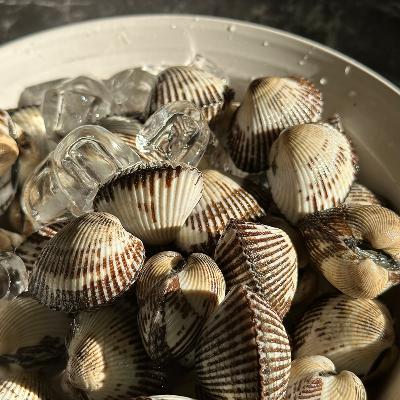 ★지금제철★ 국내산 새꼬막 택1