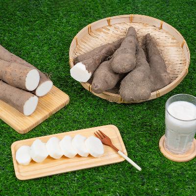 ★원기회복★ 안동 마 택1