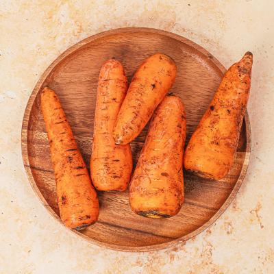 제주구좌당근 5kg, 10kg 택 1