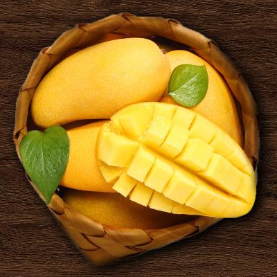 ★항공직송★ 남독마이 골드망고 1~5kg