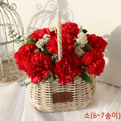 생화 꽃바구니 카네이션 -레드(선택) ♥ 5월 6일(10시) 주문 마감 ♥
