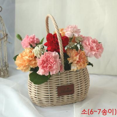생화 꽃바구니 카네이션 -혼합(선택) ♥ 5월 6일(10시) 주문 마감 ♥