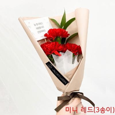 생화 카네이션 꽃다발 미니(mini) -(선택) ♥ 5월 6일(10시) 주문 마감 ♥