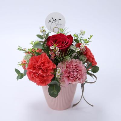 존경해요 카네이션 ♥ 5월 6일(10시정각) 주문 마감 ♥