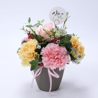 감사해요 카네이션 ♥ 5월 6일(10시정각) 주문 마감 ♥