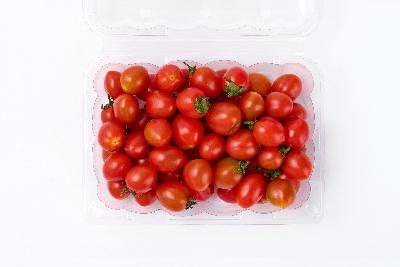 당일 출고량만 인증된 시설에서 당일배송 스테비아 방울 토마토 (1kg/2kg)