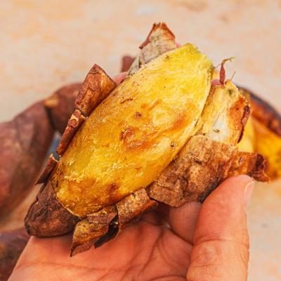 해남 꿀고구마 세척,비세척 2kg ,3kg 