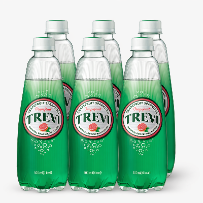 [롯데칠성음료] 트레비 자몽 500ml x 6개