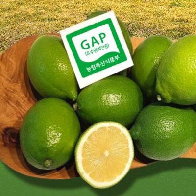 [제주] 제주 그린 레몬 [1kg-5kg]