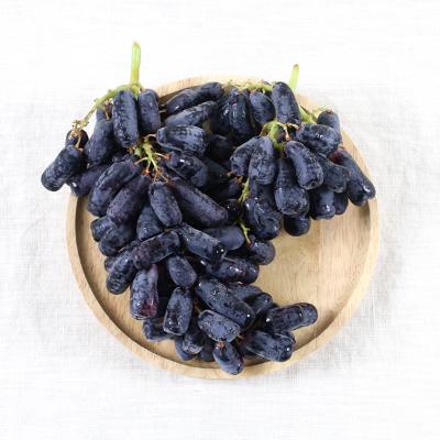 [건강한 포도] 블랙 사파이어 포도 [1kg-2kg]