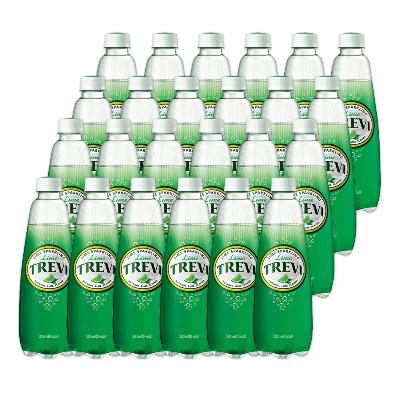 [롯데칠성음료] 트레비 라임 500ml x 24개