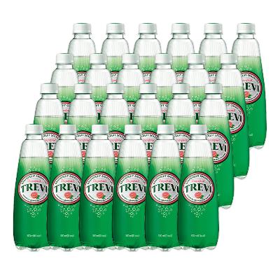 [롯데칠성음료] 트레비 자몽 500ml x 24개