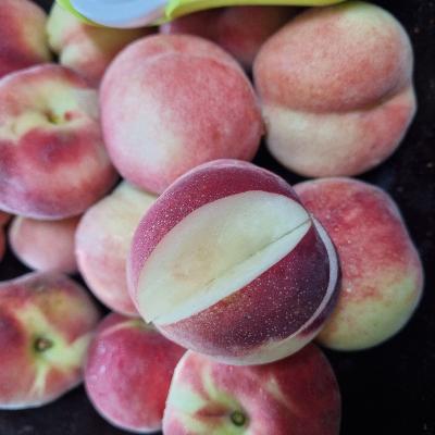 [고당도] 하우스 대극천 복숭아  300g/600g/1.5kg  (15-25과) 진짜 맛있는 복숭아