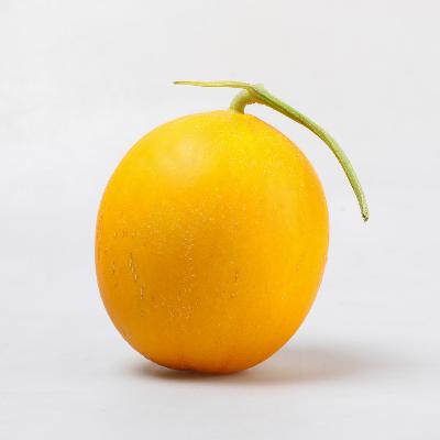 ★부드러운★ 양구메론 3~10kg