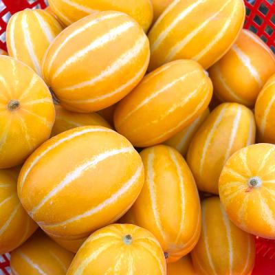 ★달콤달콤★성주참외(소,중,대과) 2~10kg 택