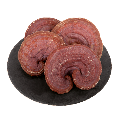 [경동시장] 국산 영지버섯 (통) 500g