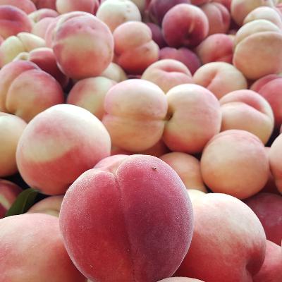 ★당도최고★황도 말랑이복숭아 1~4kg 택