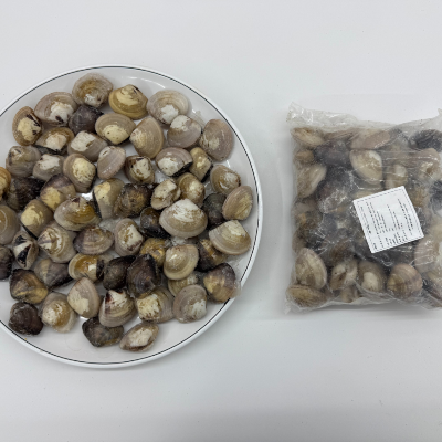 [호진이네] 백합조개 해감된 급냉 백합 조개찜 탕 봉골레 파스타 (1팩1kg~5팩5kg)