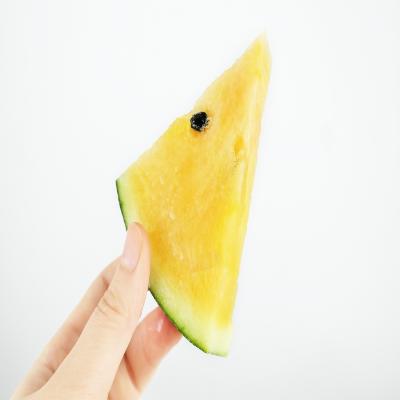 [고르네] 블랙망고수박 1수 (3종택1)