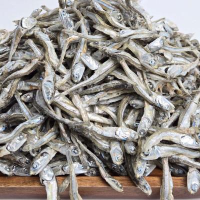 26년 7월 첫조업한 고바멸치 1박스(1.5kg)