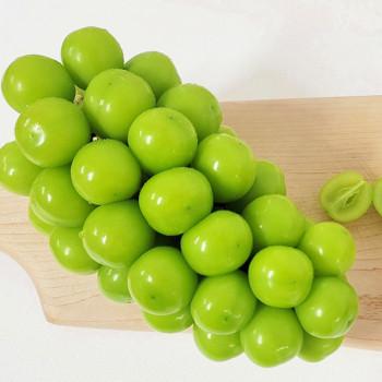 고당도 샤인머스켓 특품 1kg/2kg/4kg내외 4-5수 안전포장 선물강추