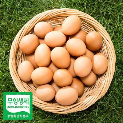 [바담] 무항생제 계란 특란 20구,30구,60구