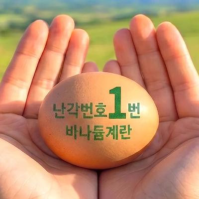 난각번호1번 바나듐 계란 무항생제 1등급 자연 자유 방사 방목 날계란 20구